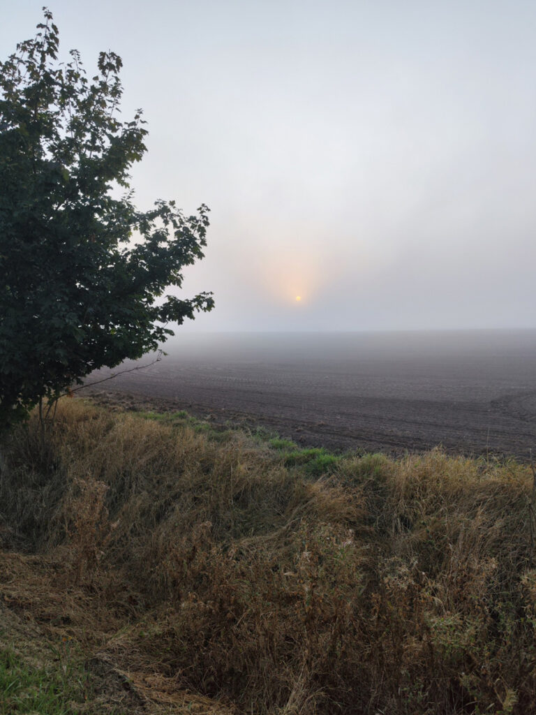 mediation coaching masur Rostock