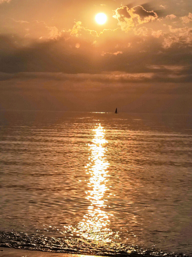 mediation coaching masur Rostock