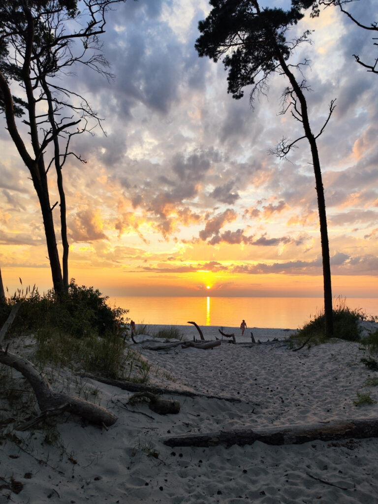 mediation coaching masur Rostock